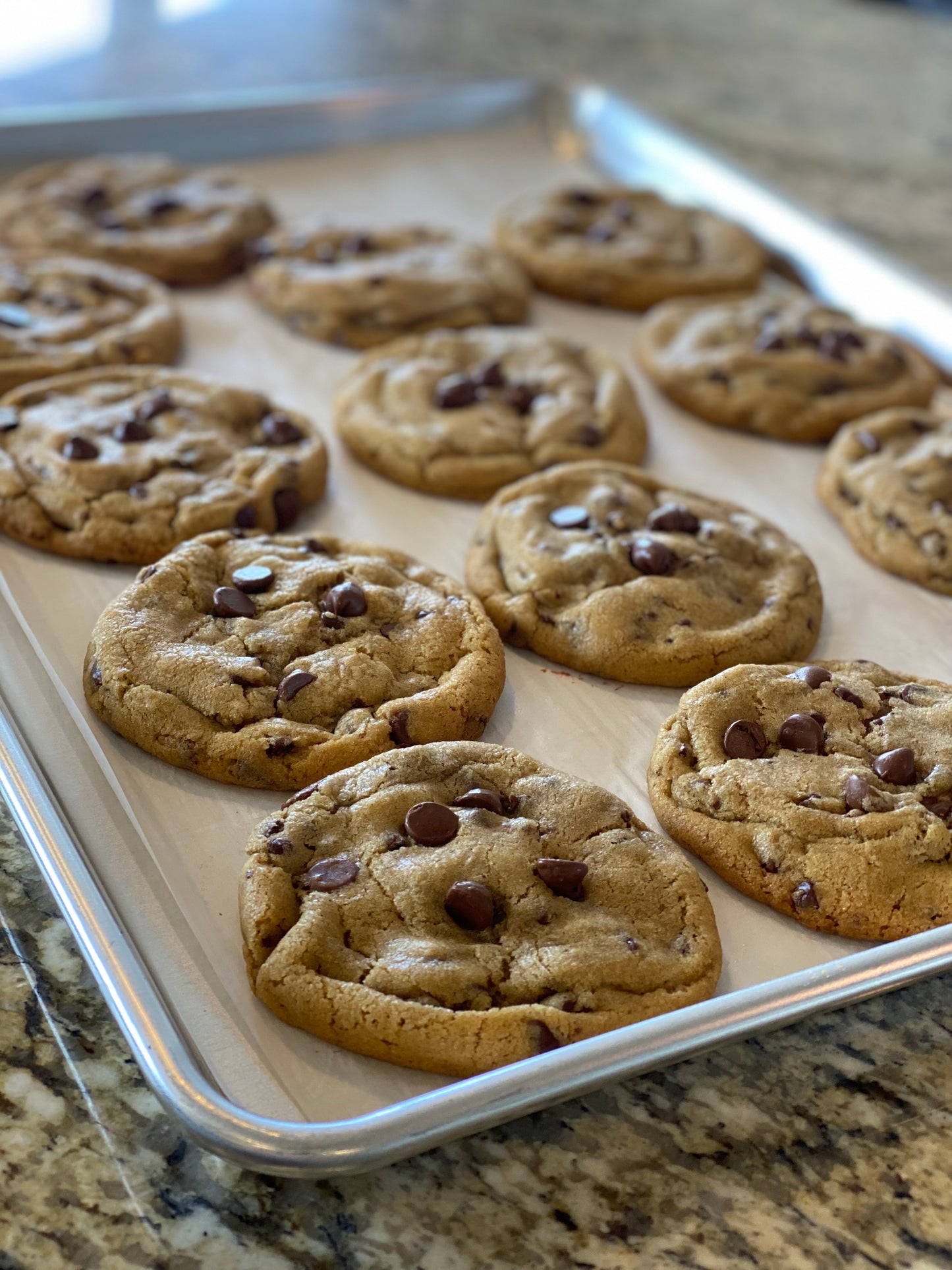 Chocolate Chip